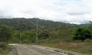 Overlooking 204 Sqm Lot for Sale in Greenwoods near Talamban Cebu City