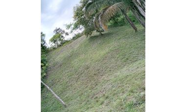 VENDO TERRENOS EN ARRAIJAN
