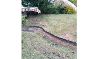 VENDO TERRENOS EN ARRAIJAN