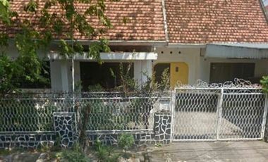 Rumah disewakan