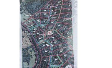 Parcela en Condominio a orillas del Río Petrohué, Ensenada