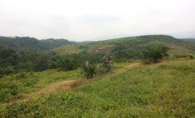 Jual Cepat Tanah Murah 240 Ha Di Haurwangi Kota Cianjur