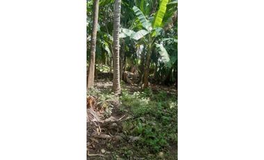 LOTE DE 1600 M2 EN BOCA LA CEIBA