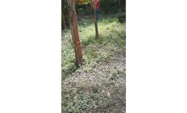 LOTE DE 1600 M2 EN BOCA LA CEIBA