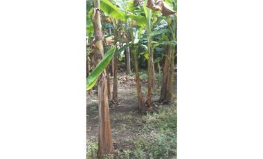 LOTE DE 1600 M2 EN BOCA LA CEIBA
