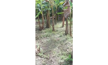 LOTE DE 1600 M2 EN BOCA LA CEIBA