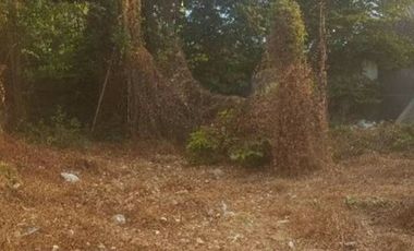 RUMAH TUA LUAS TEPI JALAN RAYA AKHMAD YANI PASURUAN