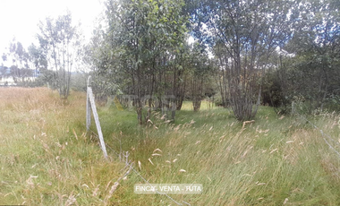 finca en venta en alizal. Cod V5765