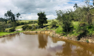 finca en venta en alizal. Cod V5765