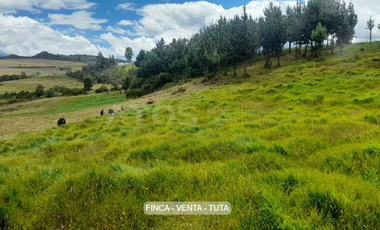 finca en venta en alizal. Cod V5765