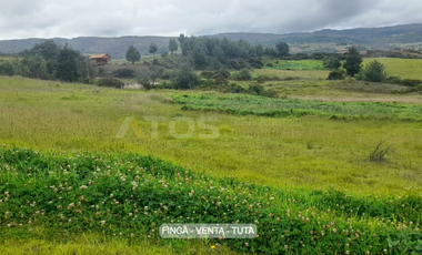finca en venta en alizal. Cod V5765