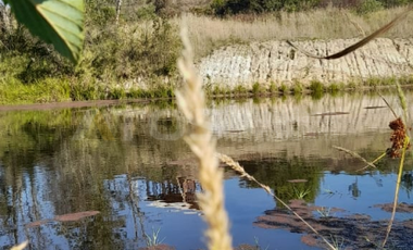 finca en venta en alizal. Cod V5765