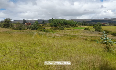 finca en venta en alizal. Cod V5765