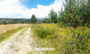 finca en venta en alizal. Cod V5765