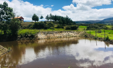 finca en venta en alizal. Cod V5765