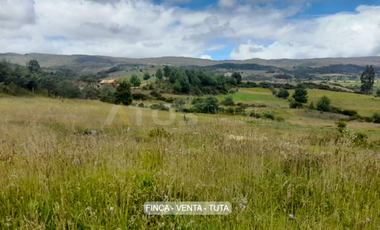 finca en venta en alizal. Cod V5765