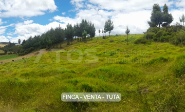 finca en venta en alizal. Cod V5765