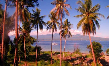 Beach Lot for sale in Santander, Oslob,71 meters Beach front