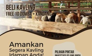 Tanah Kavling Investasi Domba Ciwidey Kab Bandung
