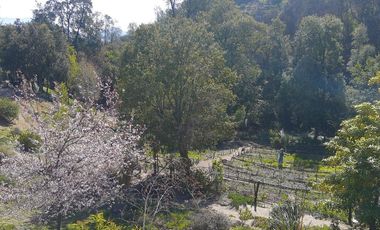 Arriendo casa campo cuesta la dormida Olmue