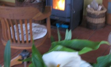 Arriendo casa campo cuesta la dormida Olmue