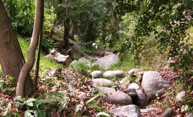 Arriendo casa campo cuesta la dormida Olmue
