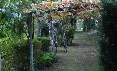 Arriendo casa campo cuesta la dormida Olmue