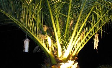 Arriendo casa campo cuesta la dormida Olmue