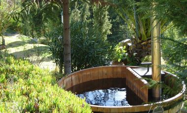 Arriendo casa campo cuesta la dormida Olmue