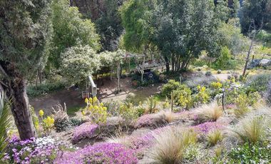 Arriendo casa campo cuesta la dormida Olmue