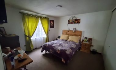 EXEQUIE FERNANDEZ / LOS OLMOS