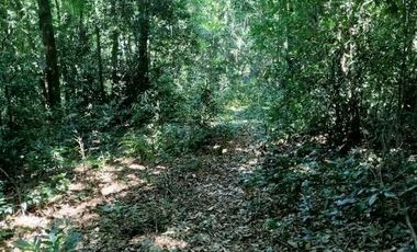 VENTA de LOTES para EMPRENDIMIENTO TURISTICO/  y otro INDUSTRIAL