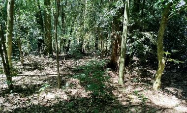 VENTA de LOTES para EMPRENDIMIENTO TURISTICO/  y otro INDUSTRIAL