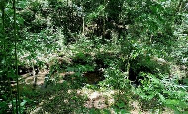 VENTA de LOTES para EMPRENDIMIENTO TURISTICO/  y otro INDUSTRIAL