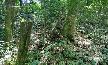 VENTA de LOTES para EMPRENDIMIENTO TURISTICO/  y otro INDUSTRIAL