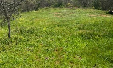 Excelente propiedad, real oportunidad 9000 m2 Qda Escobares