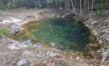 Terreno grande con Cenote en Venta para Desarrollar en Tulum Región 10 P4044