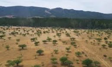 Terreno en venta en Linares - Sin amueblar