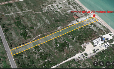 Vive la vida vive en la playa:  Terreno de Playa sin igual km 28 San Bruno Yucatán