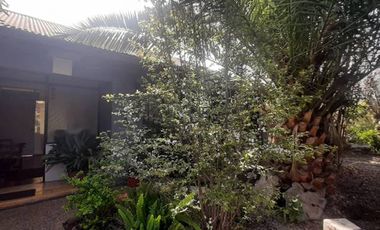 ROJAS MAGALLANES, LA FLORIDA