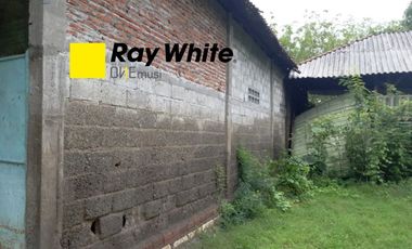 Murah Tanah Dan Gudang BU Mojowarno, Wringinpitu, Jombang