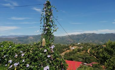 VENTA de LOTES en PIEDECUESTA