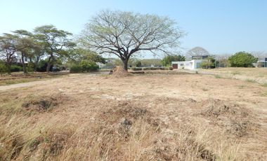 lote en venta en tubara. Cod V88881