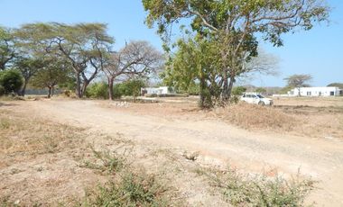 lote en venta en tubara. Cod V88881