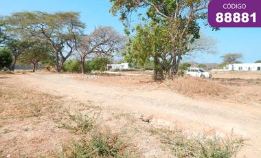 lote en venta en tubara. Cod V88881