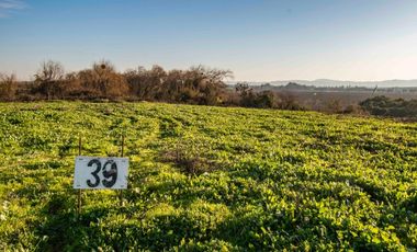 VENTA DE PARCELAS EN TALCA - SAN RAFAEL VII REGION MAULE