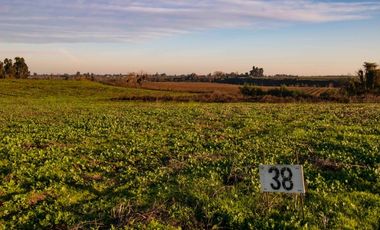 VENTA DE PARCELAS EN TALCA - SAN RAFAEL VII REGION MAULE