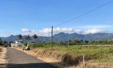 Tanah Murah Area Pakis Dekat Exit Tol Malang