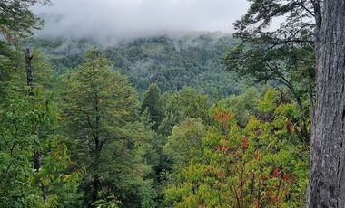 Sitio en Venta en Campo Río Traidor