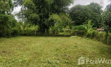 Land for sale in Wiang, Chiang Mai
